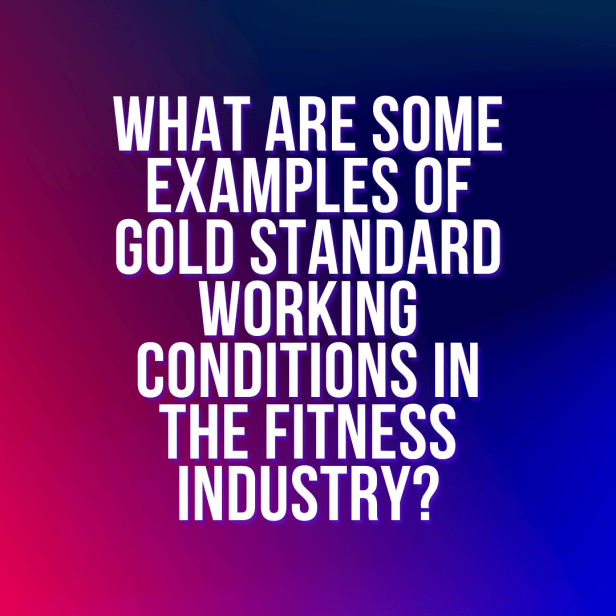 What are some examples of gold standard working conditions in the ...